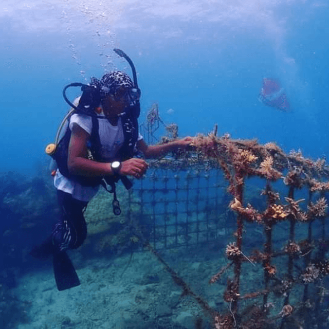 Konservasi Lingkungan